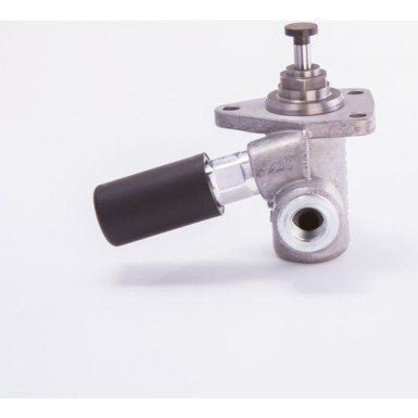 BOSCH Kraftstoffpumpe 0 440 008 089