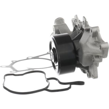 SKF Wasserpumpe VKPC 88843