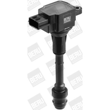 BorgWarner (BERU) Zündspule ZSE080
