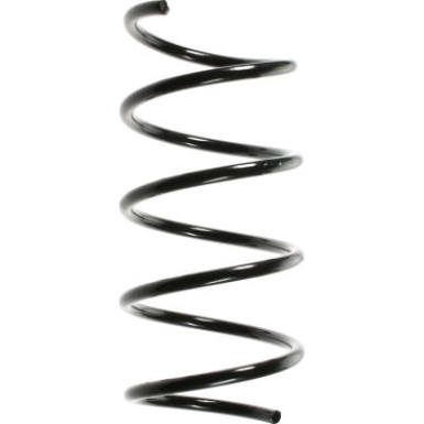 Spidan Fahrwerksfeder 49718