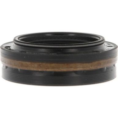 Wellendichtring, Differential 01033859B