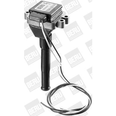BorgWarner (BERU) Zündspule ZS043