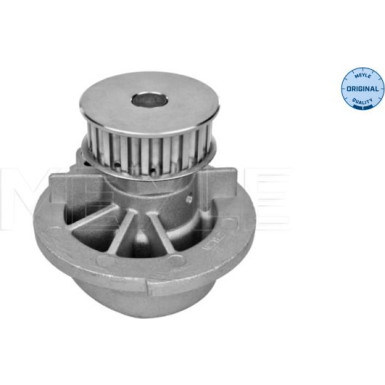 Wasserpumpe, Motorkühlung 613 600 0005