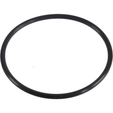 Metzger Dichtring 2430137