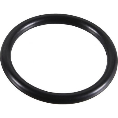 Metzger Dichtring 2430023