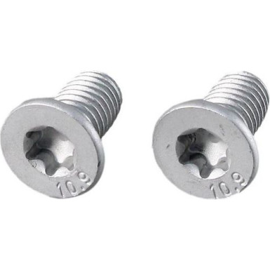 Metzger Schraube, Bremsscheibe 2 Stück 11670K
