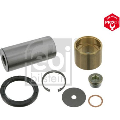 FEBI BILSTEIN 05869 Reparatursatz, Achsschenkelbolzen