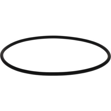 BOSCH Dichtring 2 410 210 050