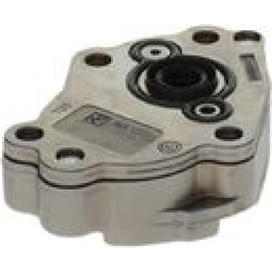 BOSCH Kraftstoffpumpe 0 440 020 065