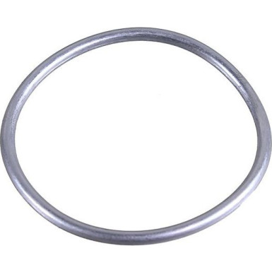 Metzger Dichtring 2430020