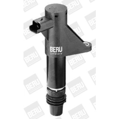 BorgWarner (BERU) Zündspule ZS347