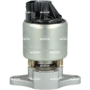 NRF AGR-Ventil 48719