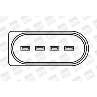 BorgWarner (BERU) Zündspule ZSE041