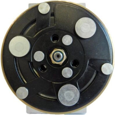 Mahle Kompressor, Klimaanlage BEHR ACP 384 000S