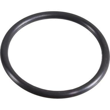 Metzger Dichtring 2430129