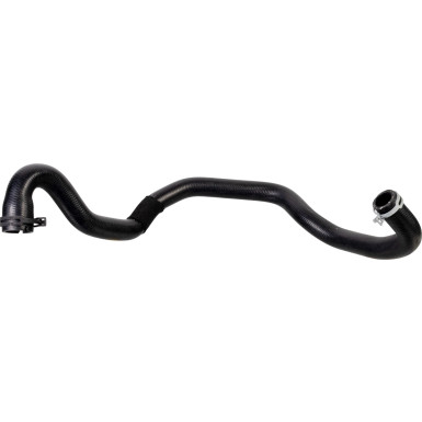 FEBI BILSTEIN 178467 Kühlerschlauch FEBI BILSTEIN 178467 Kühlerschlauch