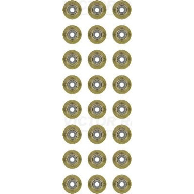 Victor Reinz Dichtungssatz, Ventilschaft 12-38546-01