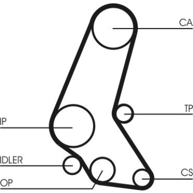 ContiTech Zahnriemen CT748