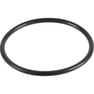 Metzger Dichtring 2430006