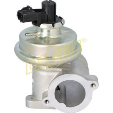 GEBE AGR-Ventil 9 3009 1