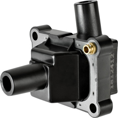 Valeo Zündspule 245169