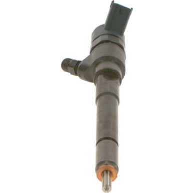 BOSCH 0 445 110 253 Einspritzdüse