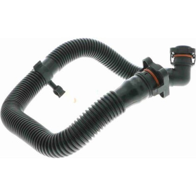 Schlauch, Kurbelgehäuseentlüftung V10-3092