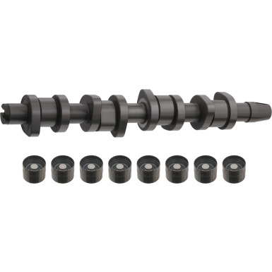 FEBI BILSTEIN 33195 Nockenwellensatz FEBI BILSTEIN 33195 Nockenwellensatz