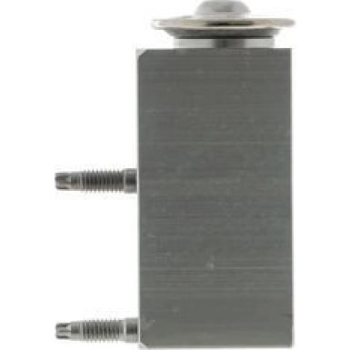 Mahle Expansionsventil, Klimaanlage BEHR Premium Line AVE 77 000P