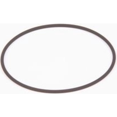 BOSCH Dichtring F 01M 100 371