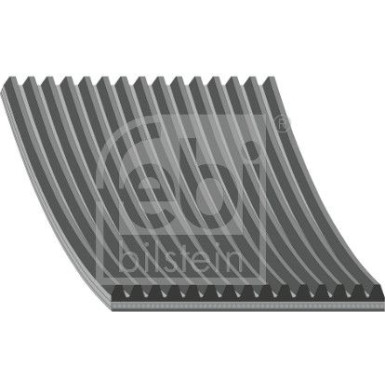 FEBI BILSTEIN 29122 Keilrippenriemen