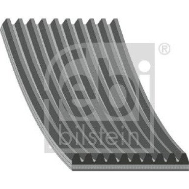 FEBI BILSTEIN 46480 Keilrippenriemen