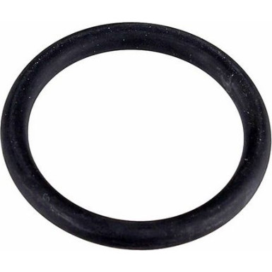 Metzger Dichtring 2430156