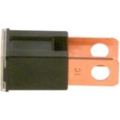Sicherung 1 987 529 073