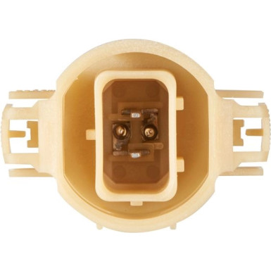 Glühlampe, Rückfahrleuchte 1 987 302 266 Glühlampe, Rückfahrleuchte 1 987 302 266