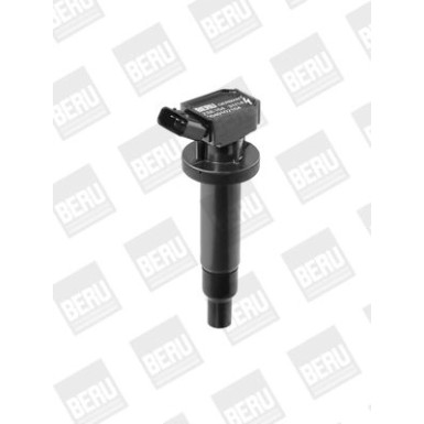BorgWarner (BERU) Zündspule ZSE164