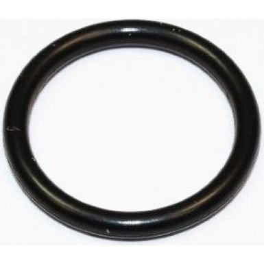 Dichtring 174.080 Dichtring 174.080