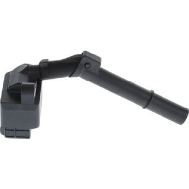 BOSCH 0 221 604 036 Zündspule BOSCH 0 221 604 036 Zündspule