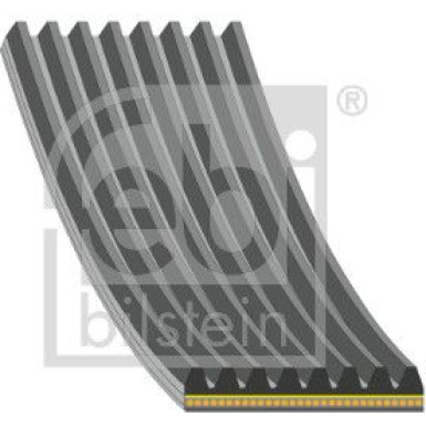 FEBI BILSTEIN 184942 Keilrippenriemen FEBI BILSTEIN 184942 Keilrippenriemen