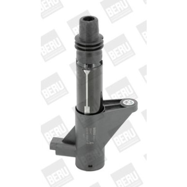 BorgWarner (BERU) Zündspule ZS347