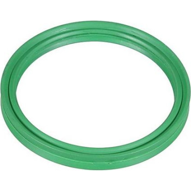 Dichtring 2430154 Dichtring 2430154