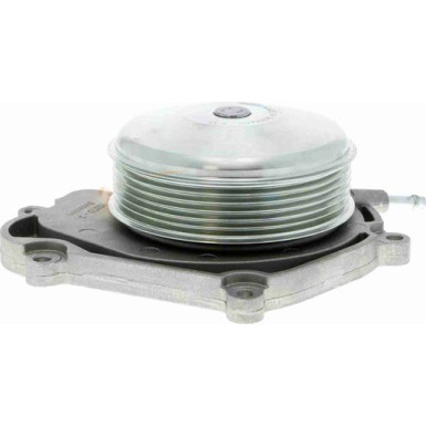 Vaico Wasserpumpe Green Mobility Parts V30-50077