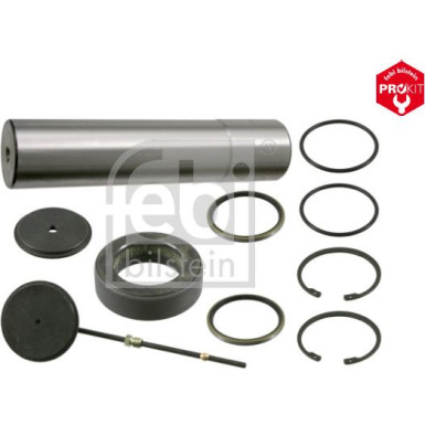 FEBI BILSTEIN 18954 Reparatursatz, Achsschenkelbolzen