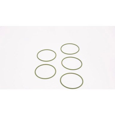 BOSCH Dichtring F 01M 100 048