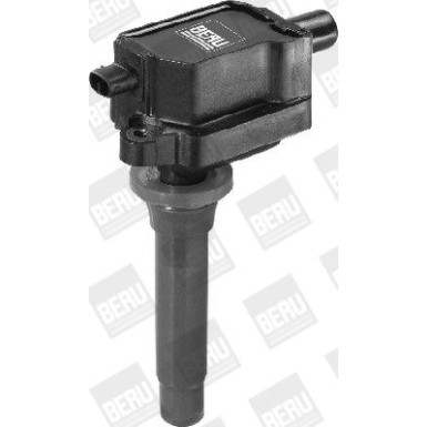 BorgWarner (BERU) Zündspule ZS433