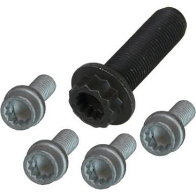 Schraubensatz, Riemenscheibe-Kurbelwelle MS51 Schraubensatz, Riemenscheibe-Kurbelwelle MS51