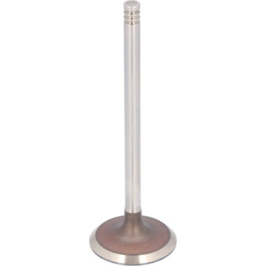 FEBI BILSTEIN 183492 Einlassventil FEBI BILSTEIN 183492 Einlassventil