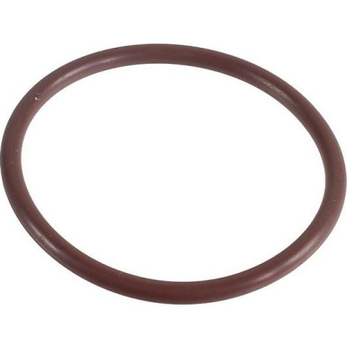 Metzger Dichtring 2430043