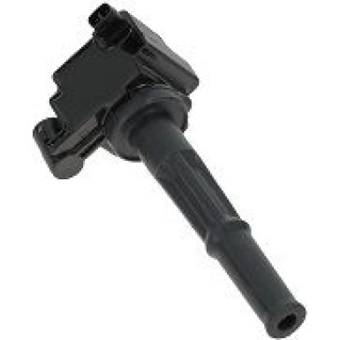 BorgWarner (BERU) Zündspule ZS473