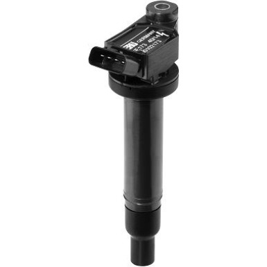 BorgWarner (BERU) Zündspule ZSE173